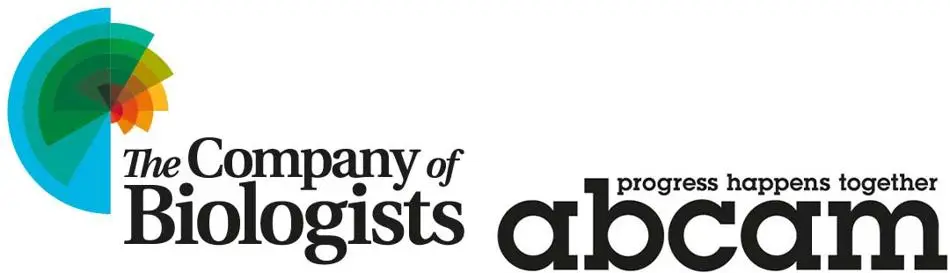 logos