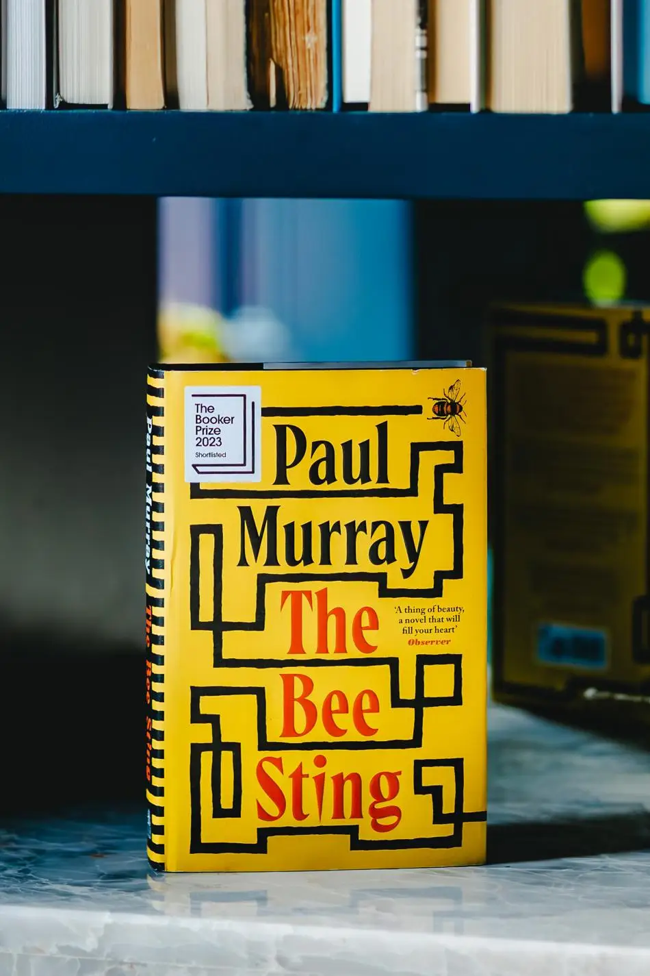 Image of Paul Murray's book 'The Bee Sting'