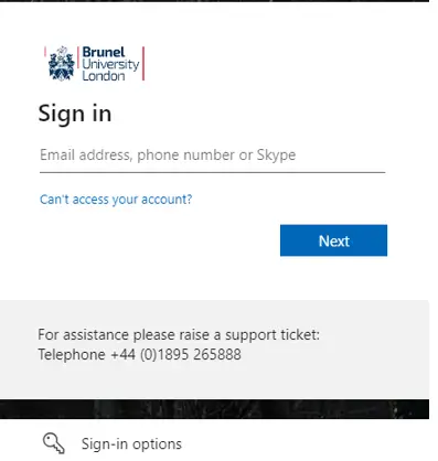  Brunel branding on login pages 